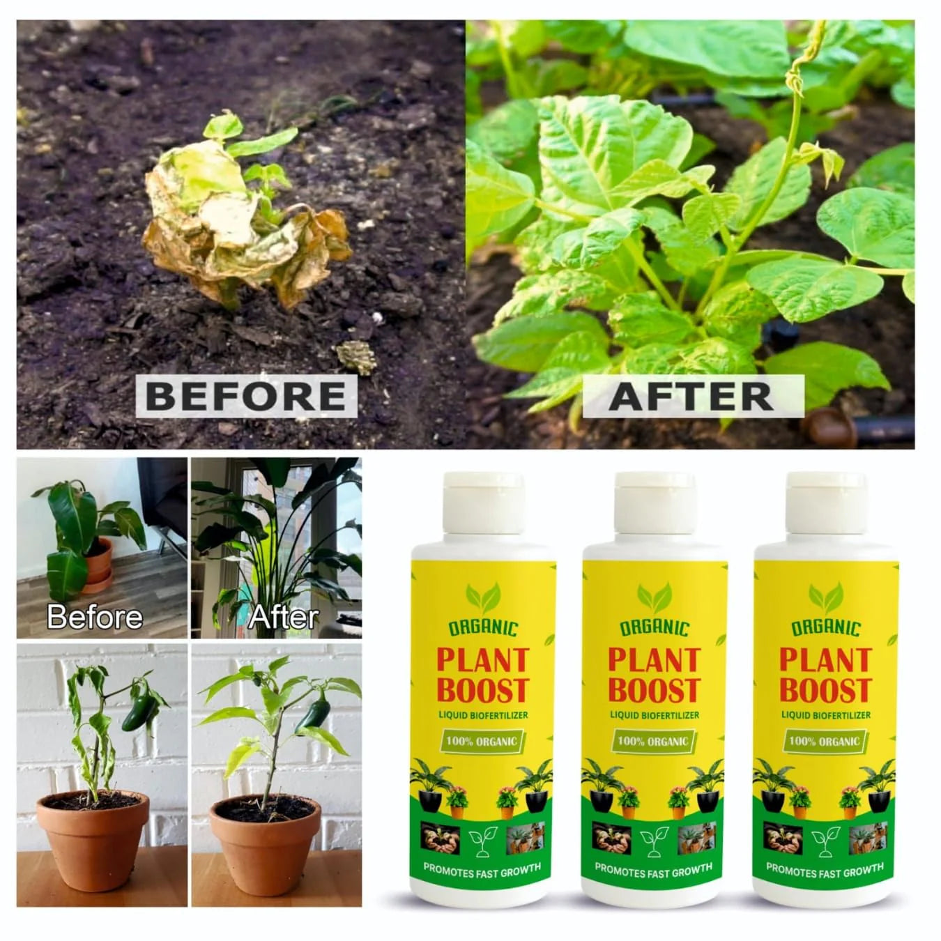 🌱 Plant Boost Liquid Biofertilizer – Organic Growth for All Crops! 🌿 (Pack of 4)