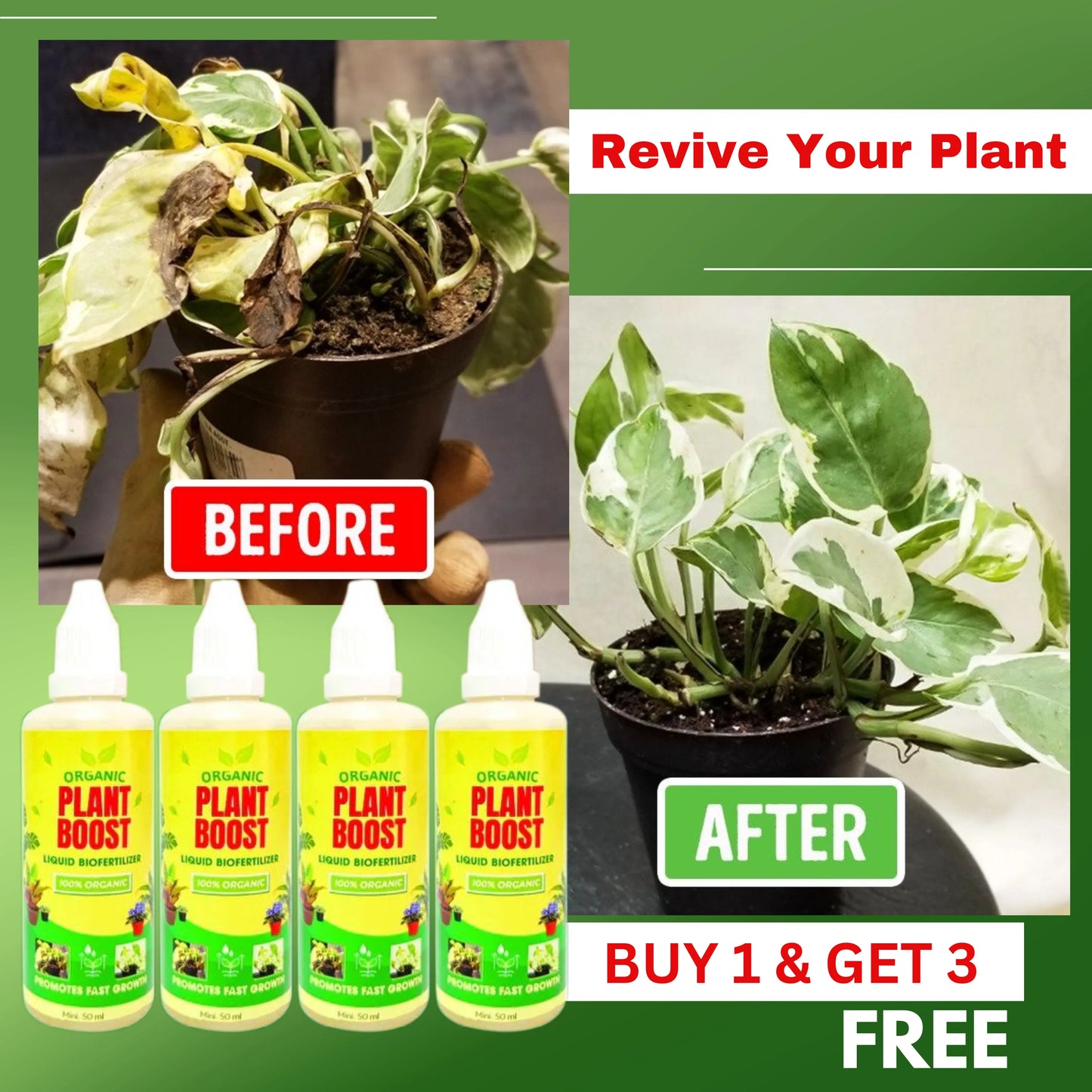 🌱 Plant Boost Liquid Biofertilizer – Organic Growth for All Crops! 🌿 (Pack of 4)